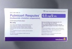 Pulmicort 0.5mg Ampoules - Rosheta United Arab Emirates