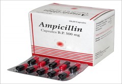 Ampicillin Forte 500mg