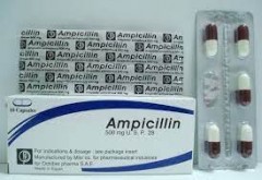 Ampicillin Misr 500mg