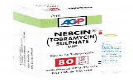 Nebcin 80mg