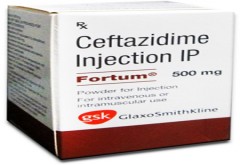 Ceftazidime 500mg